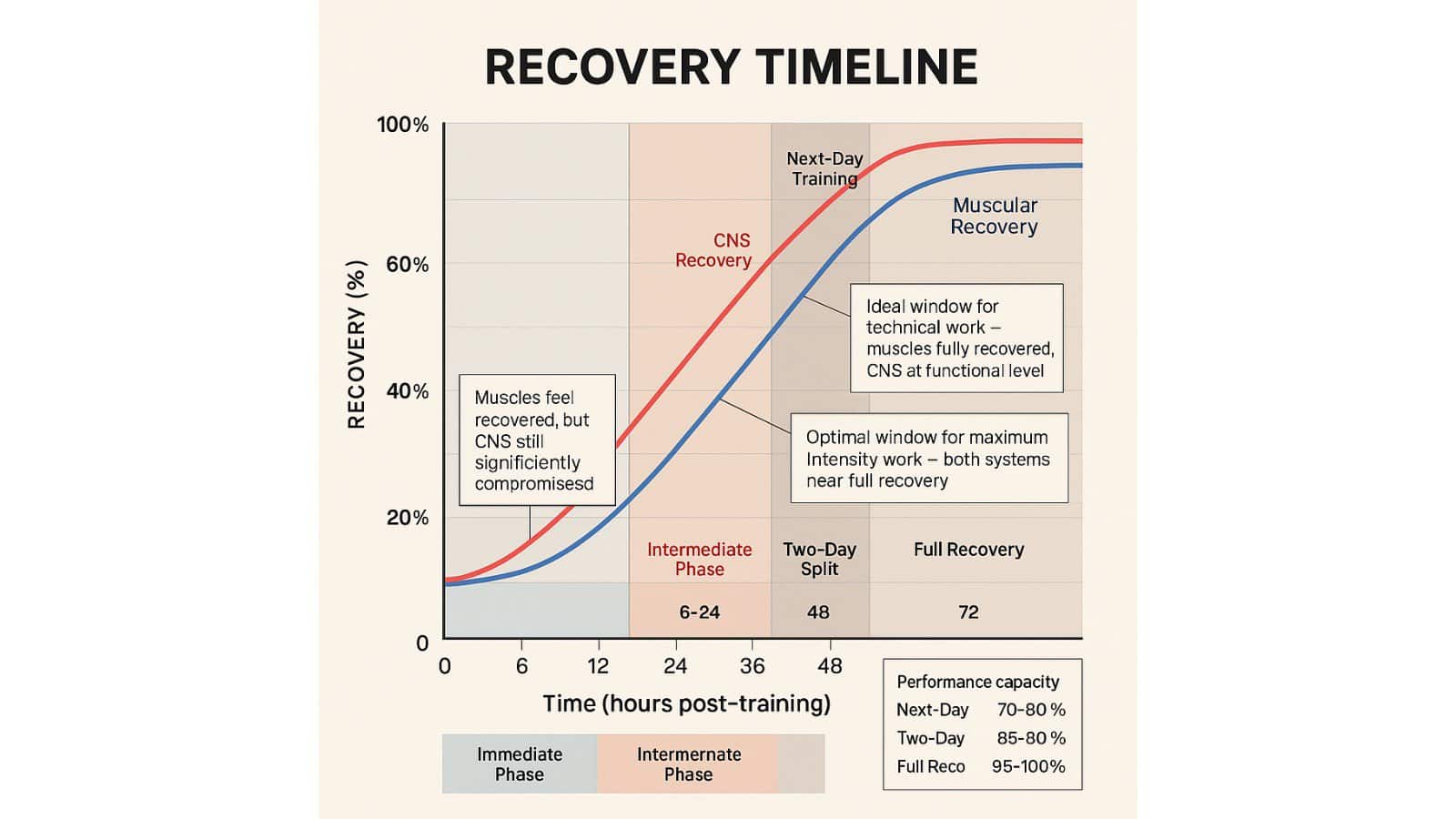 Recovery Timeline Line graph comparing central nervous system (CNS) recovery versus muscular recovery over 72 hours post-sprint training. The CNS recovery curve (red) lags behind the muscular recovery curve (blue), with three recovery phases marked: immediate (0–6 hrs), intermediate (6–24 hrs), and extended (24–72+ hrs). Shaded vertical regions represent typical training decisions at 24, 48, and 72 hours. Annotations highlight when muscles may feel recovered while CNS remains compromised, and when technical or high-intensity work is optimally reintroduced.
